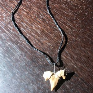 Shark tooth necklace